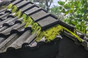 Old roof with moss needs to be replaced
