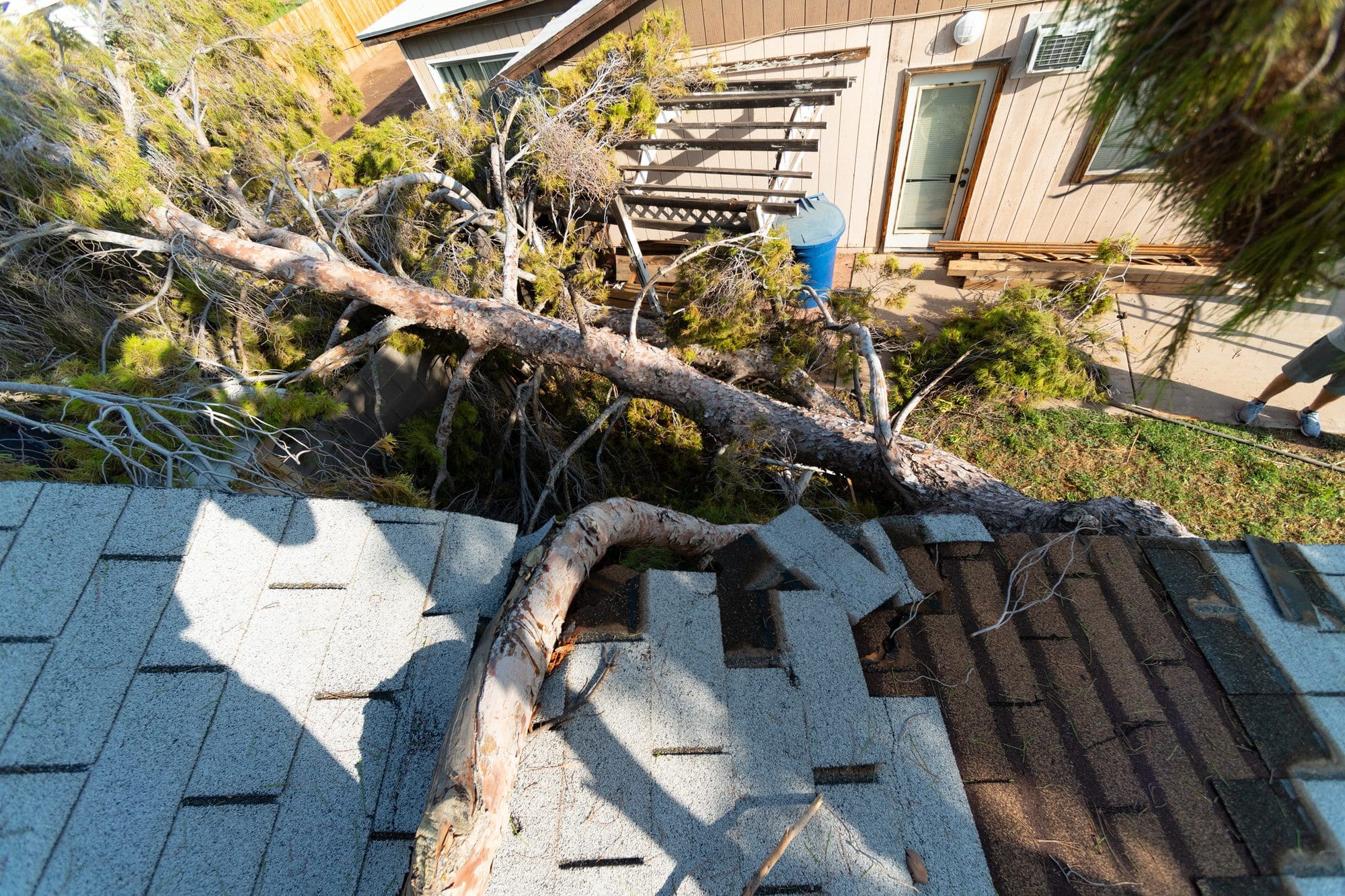 Tree-Damage-to-Roof-from-wind